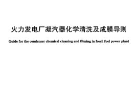 DLT957-2005 火力发电厂凝汽器化学清洗及成膜导则