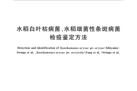 GB／T 28078-2011 水稻白叶枯病菌、水稻细菌性条斑病菌检疫鉴定方法