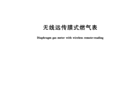 CJT503-2016 无线远传膜式燃气表