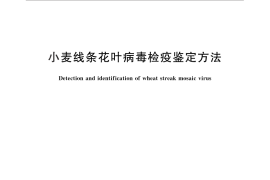 GB／T 28103-2011 小麦线条花叶病毒检疫鉴定方法
