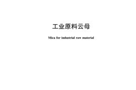 JCT49-2017 工业原料云母