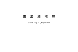 GB／T 21444-2008 青海湖裸鲤