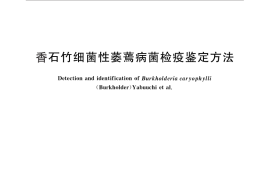 GB／T 28100-2011 香石竹细菌性萎蔫病菌检疫鉴定方法