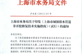 上海市城镇排水管道非开挖修复技术 实施指南