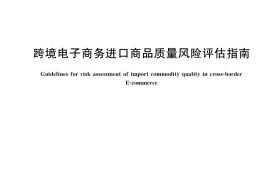 GB／T 42497-2023 跨境电子商务进口商品质量风险评估指南
