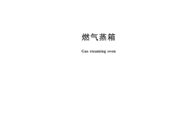 CJT187-2013 燃气蒸箱