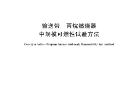 GB／T 39817-2021 输送带 丙烷燃烧器中规模可燃性试验方法