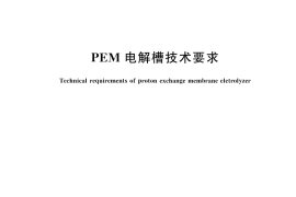 GB／T 45539-2025 PEM电解槽技术要求