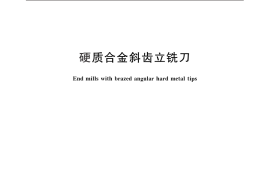 GB／T 25670-2010 硬质合金斜齿立铣刀