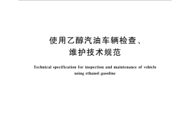 GB／T 25349-2010 使用乙醇汽油车辆检查、维护技术规范