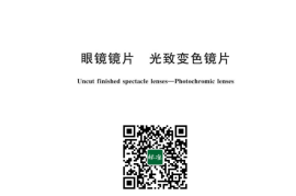 GB／T 9105-2023 眼镜镜片 光致变色镜片(1)