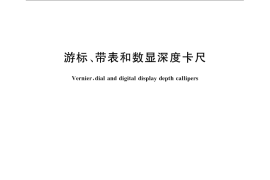 GB／T 21388-2008 游标、带表和数显深度卡尺