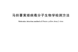 GB／T 36812-2018 马铃薯黄矮病毒分子生物学检测方法