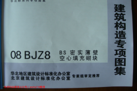 08BJZ8 BS密实薄壁空心填充砌块