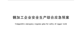 GB／T 30017-2013 铜加工企业安全生产综合应急预案