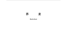 GB／T 10458-2008 荞麦