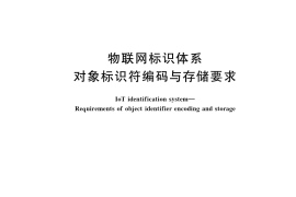 GB／T 41810-2022 物联网标识体系 对象标识符编码与存储要求