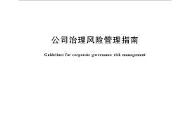 GB／T 26317-2010 公司治理风险管理指南