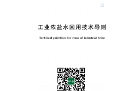 GB／T 43950-2024 工业浓盐水回用技术导则