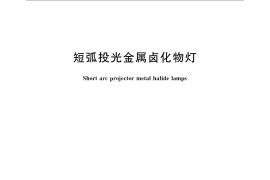 GB／T 23145-2008 短弧投光金属卤化物灯