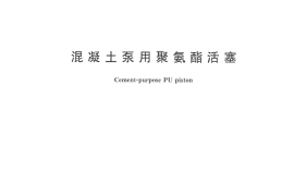 GBT21539-2008 混凝土泵用聚氨酯活塞