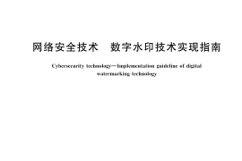 GB／T 45909-2025 网络安全技术 数字水印技术实现指南