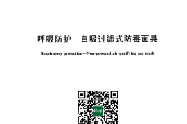 GB 2890-2022 呼吸防护 自吸过滤式防毒面具