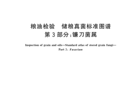 GB／T 26628.3-2024 粮油检验 储粮真菌标准图谱 第3部分：镰刀菌属