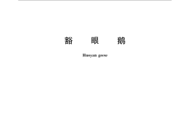 GB／T 21677-2008 豁眼鹅