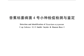 GB／T 29397-2012 香蕉枯萎病菌4号小种检疫检测与鉴定