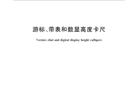GB／T 21390-2008 游标、带表和数显高度卡尺