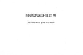 JCT841-2007 耐碱玻璃纤维网格布