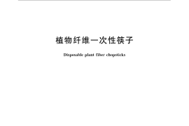 GB／T 24398-2009 植物纤维一次性筷子