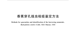 GB／T 24831-2009 香蕉穿孔线虫检疫鉴定方法