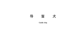 GB／T 36186-2018 导盲犬