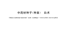 GB／T 41365-2022 中药材种子（种苗） 白术