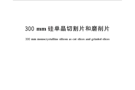 GB／T 29508-2013 300mm 硅单晶切割片和磨削片