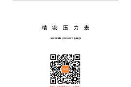 GB／T 1227-2017 精密压力表