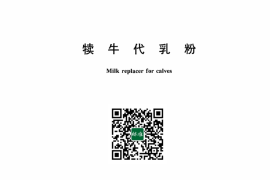 GB／T 20715-2024 犊牛代乳粉(1)