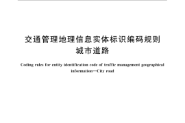 GB／T 21381-2008 交通管理地理信息实体标识编码规则 城市道路