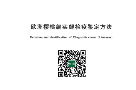 GB／T 43162-2023 欧洲樱桃绕实蝇检疫鉴定方法(1)