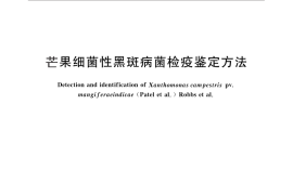 GB／T 28094-2011 芒果细菌性黑斑病菌检疫鉴定方法