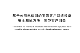 GB／T 38797-2020 基于公用电信网的宽带客户网络设备安全测试方法 宽带客户网关