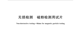 GB／T 23907-2009 无损检测 磁粉检测用试片