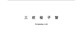 GB／T 20556-2006 三疣梭子蟹