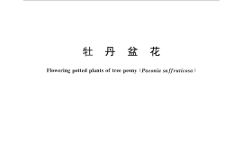 GB／T 27646-2011 牡丹盆花