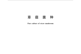 GB／T 23599-2009 草菇菌种