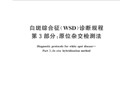 GB／T 28630.3-2012 白斑综合征(WSD)诊断规程 第3部分：原位杂交检测法