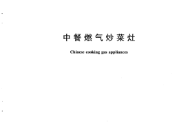 CJT28-2013 中餐燃气炒菜灶