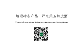 GB／T 21821-2008 地理标志产品 严东关五加皮酒(1)